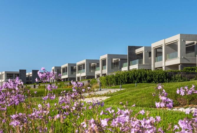 8461344 - Property Image 2