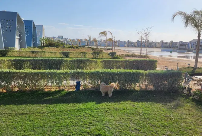94644099 - Property Image 3