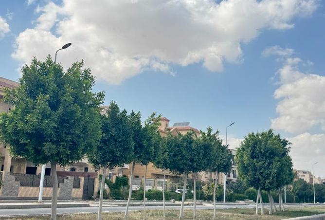 105458992 - الصورة الرئيسية للعقار