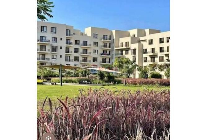 56246235 - صورة العقار 2