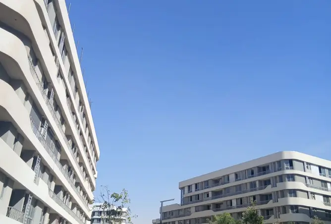 113531997 - صورة العقار 2