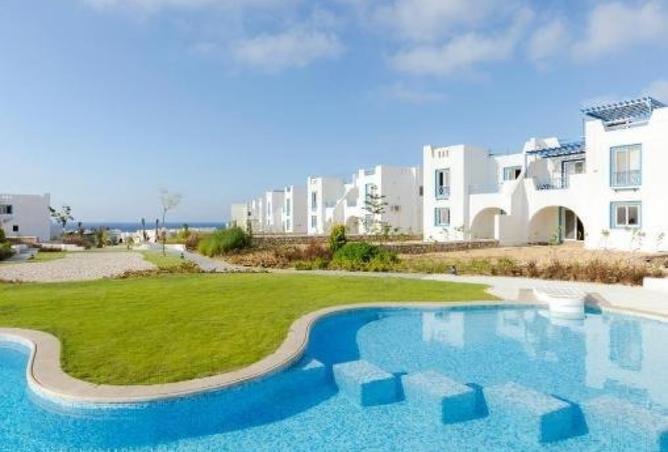 98007788 - صورة العقار 3