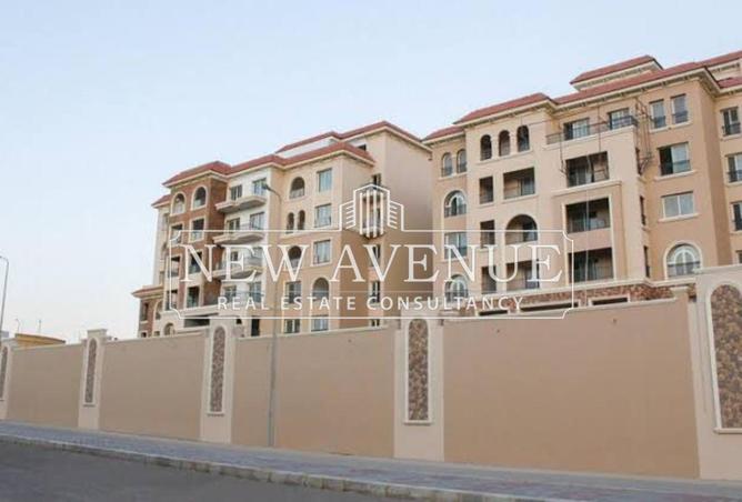 62649106 - Property Image 3