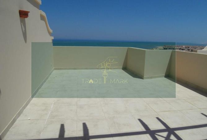 57239319 - Property Image 3