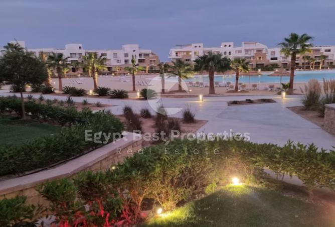 52462559 - Property Image 3