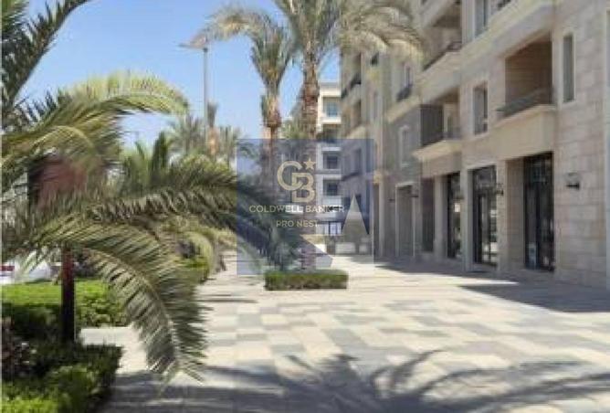 66955727 - صورة العقار 3