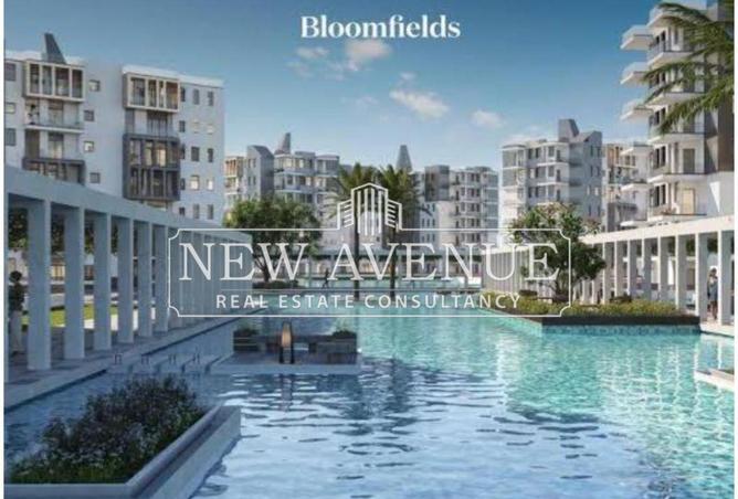 58987307 - Property Image 3