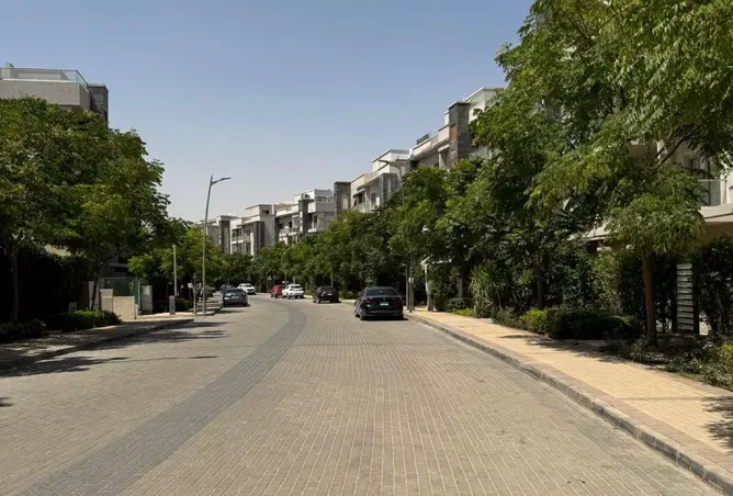 64650566 - صورة العقار 3