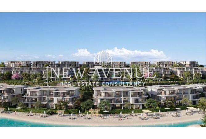 53987399 - Property Image 3