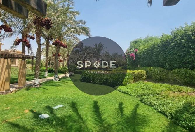 55498462 - Property Image 3