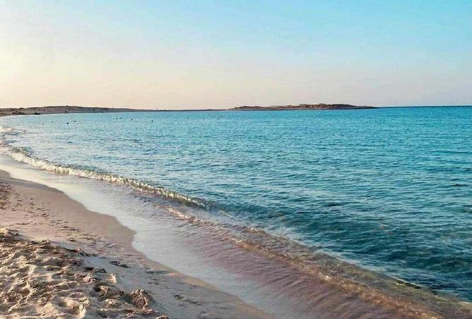 70093888 - صورة العقار 2