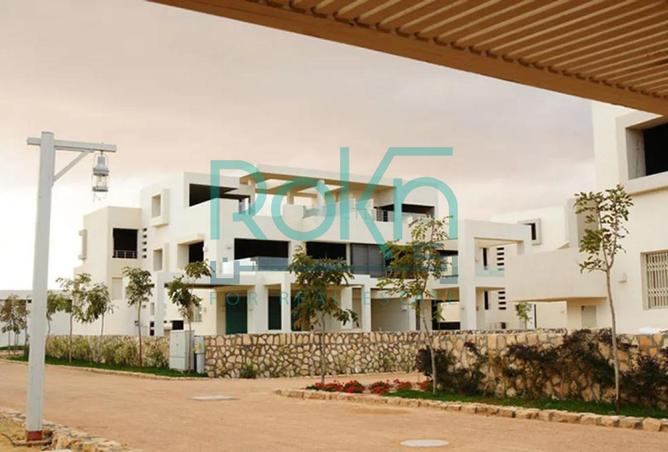 94096246 - صورة العقار 3
