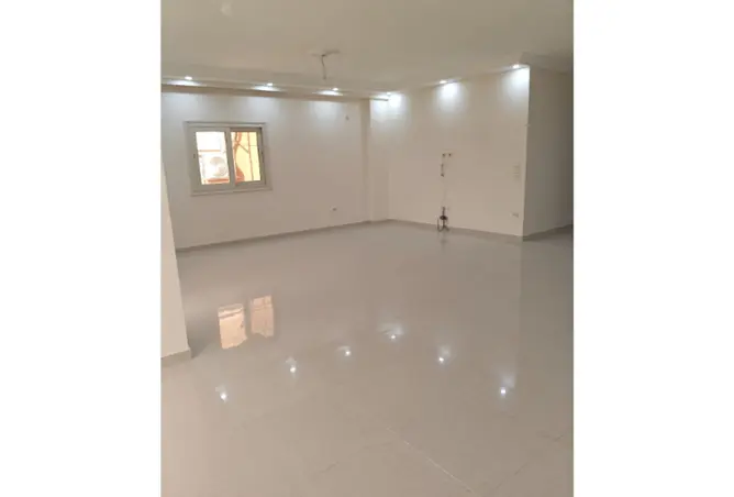 113531579 - Property Image 3