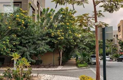 Apartment - Studio - 1 Bathroom for rent in Palm Hills Village Gate - South Investors Area - New Cairo City - Cairo