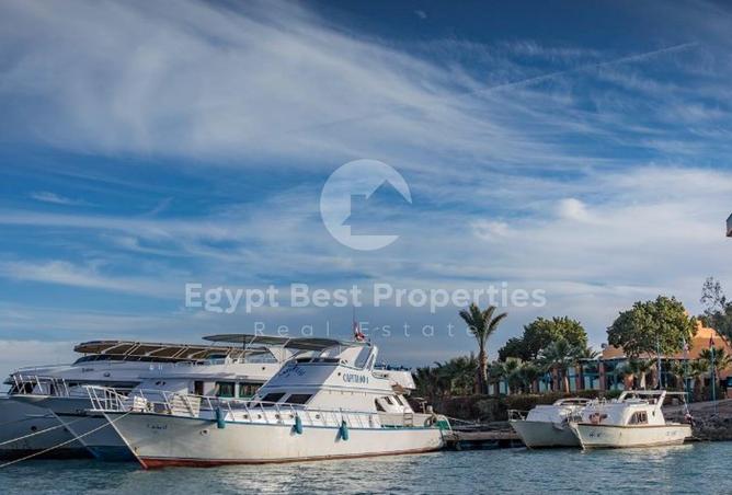 8536295 - صورة العقار 3