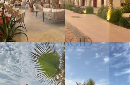 Cabin - 1 Bedroom - 1 Bathroom for sale in Gaia - Ras Al Hekma - North Coast
