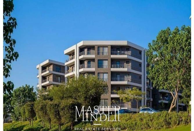 8586621 - Property Image 3