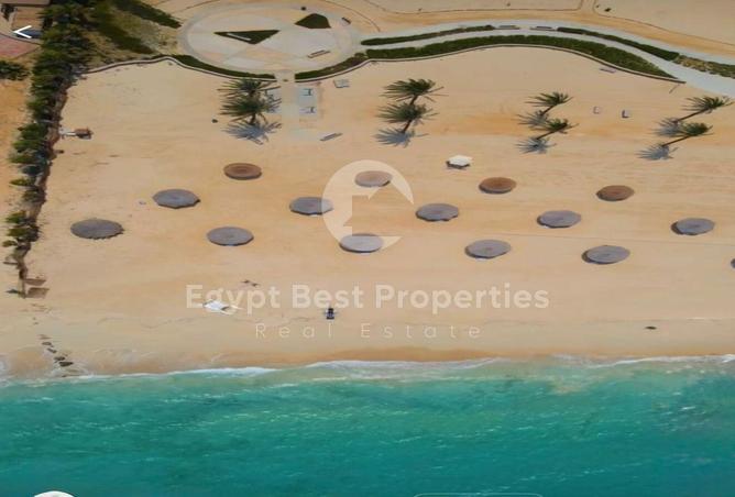 66956032 - Property Image 2