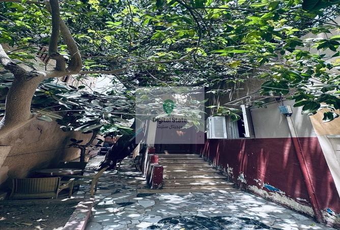 67741987 - صورة العقار 2