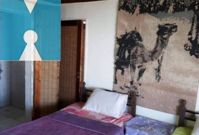 67377172 - صورة العقار 2