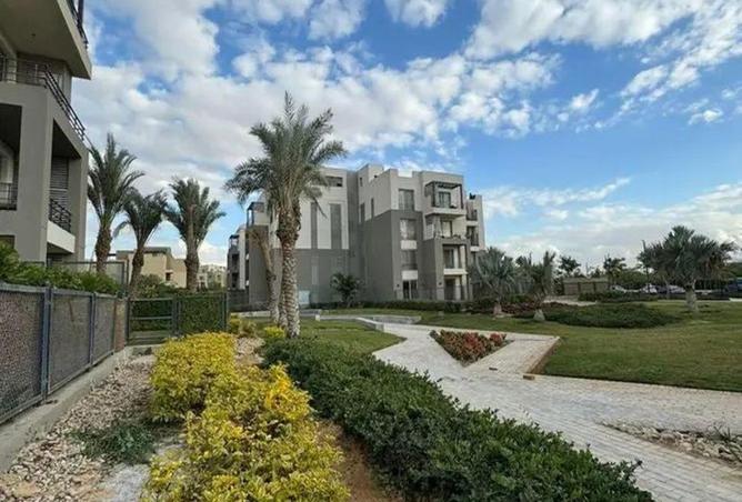 66969454 - Property Image 3