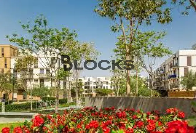 116740280 - Property Image 2