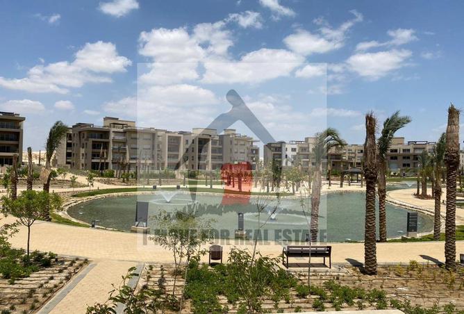 62891104 - Property Image 3