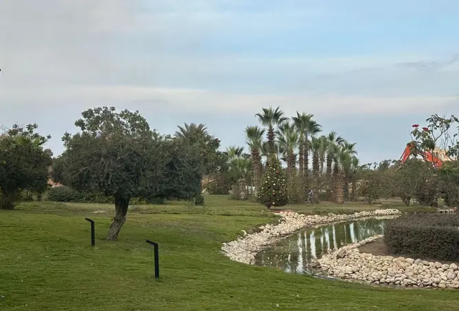 111026096 - صورة العقار 3