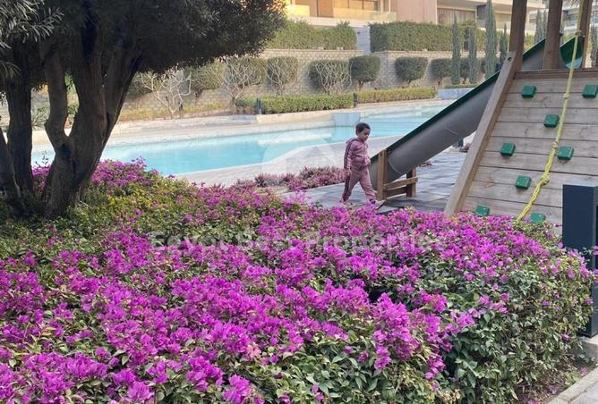 56248286 - صورة العقار 3