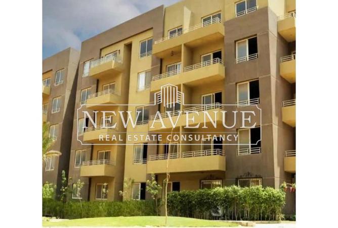 64379810 - Property Image 3