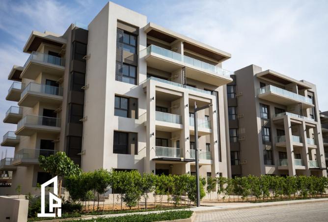 107407080 - Property Image 2
