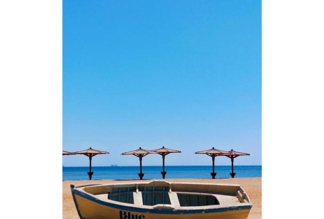 69310139 - صورة العقار 3