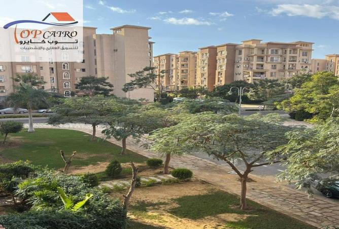 8595805 - صورة العقار 2