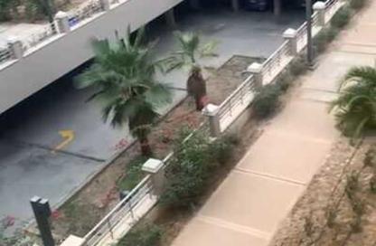 شقة - 2 غرف نوم - 2 حمامات للبيع في فيلدج جيت - المستثمرين الجنوبية - مدينة القاهرة الجديدة - القاهرة