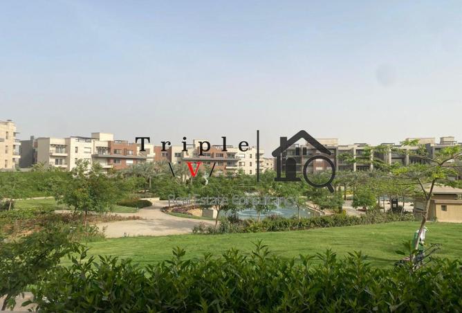 56252745 - Property Main Image