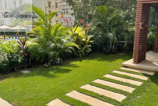 91564745 - Property Image 3