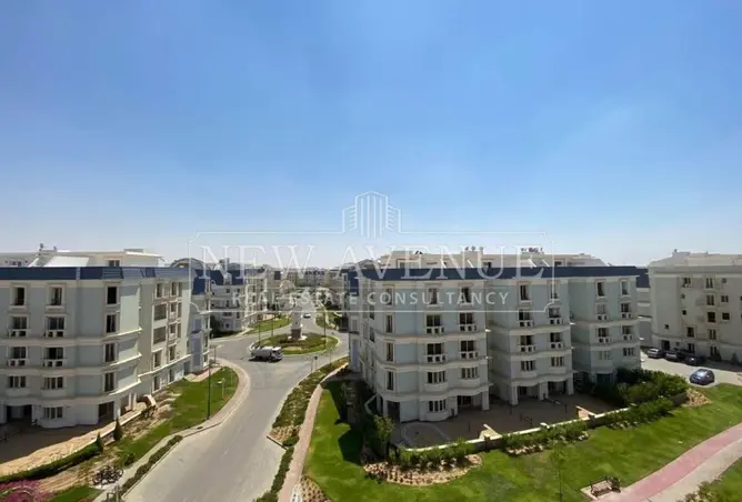 113251477 - صورة العقار 2