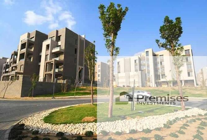81561223 - Property Main Image