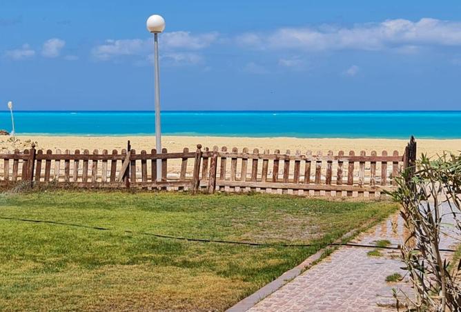 54231073 - صورة العقار 2