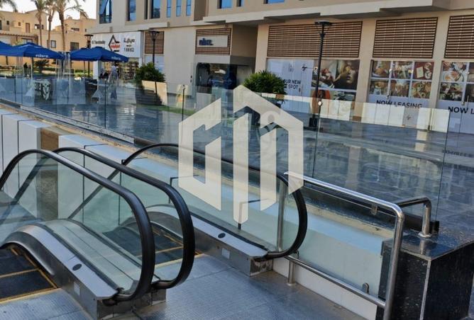 55500770 - Property Image 3