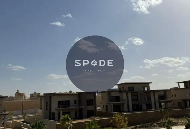 115174856 - Property Image 3