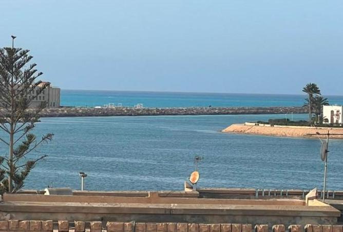 88405478 - صورة العقار 3