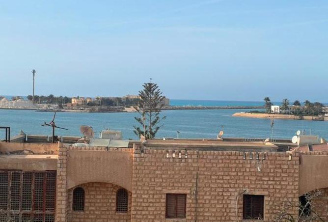 88405478 - صورة العقار 2