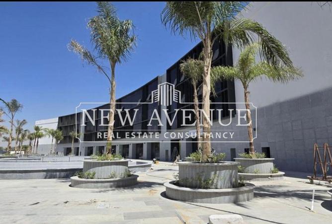 55002818 - Property Image 3