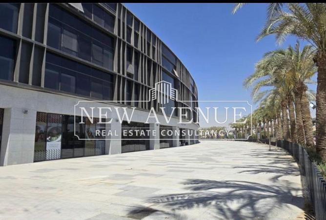 55002818 - Property Image 2