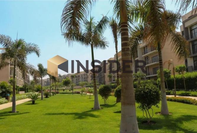 52725179 - صورة العقار 2