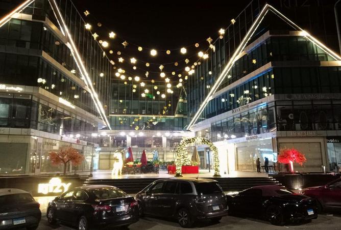 70366611 - صورة العقار 3