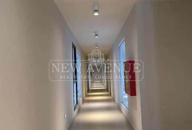 113522635 - Property Image 3
