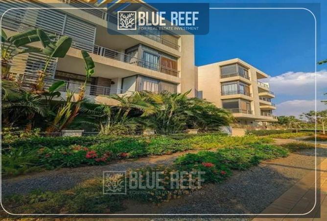 68534204 - صورة العقار 3