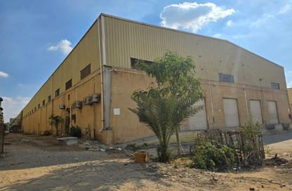 Warehouse - Studio - 4 Bathrooms for rent in Street 88 - Youth Housing - Obour City - Qalyubia